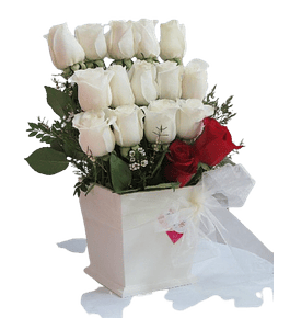 Composición de 17 Rosas Base Blanca | Expresa Amor Eterno