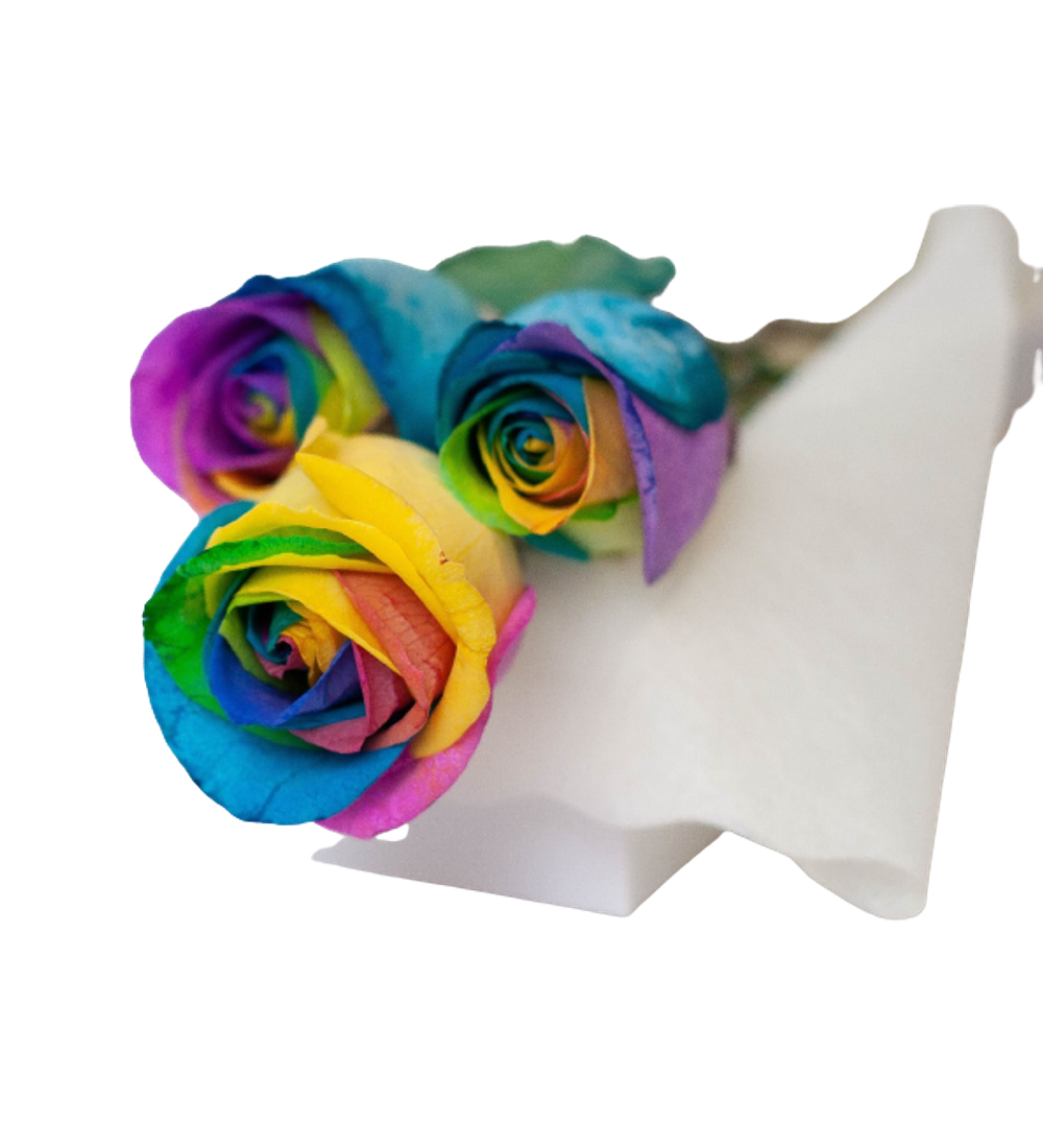 Caja 3 Rosas Arcoiris | Expresa tu Amor con Color 