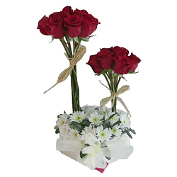 Arreglo de 24 Rosas | Transmite Amor Romántico