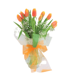 Florero de 10 tulipanes | Envía Flores del Corazón