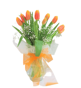 Florero de 10 tulipanes | Envía Flores del Corazón