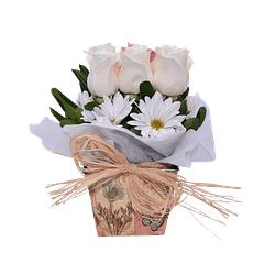 9 rosas en base provenzal | Expresa Admiración 