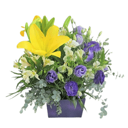 Caja de Color en Lisianthus y Liliums | Envía Color y Belleza