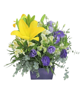 Caja de Color en Lisianthus y Liliums | Envía Color y Belleza