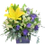 Caja de Color en Lisianthus y Liliums | Envía Color y Belleza