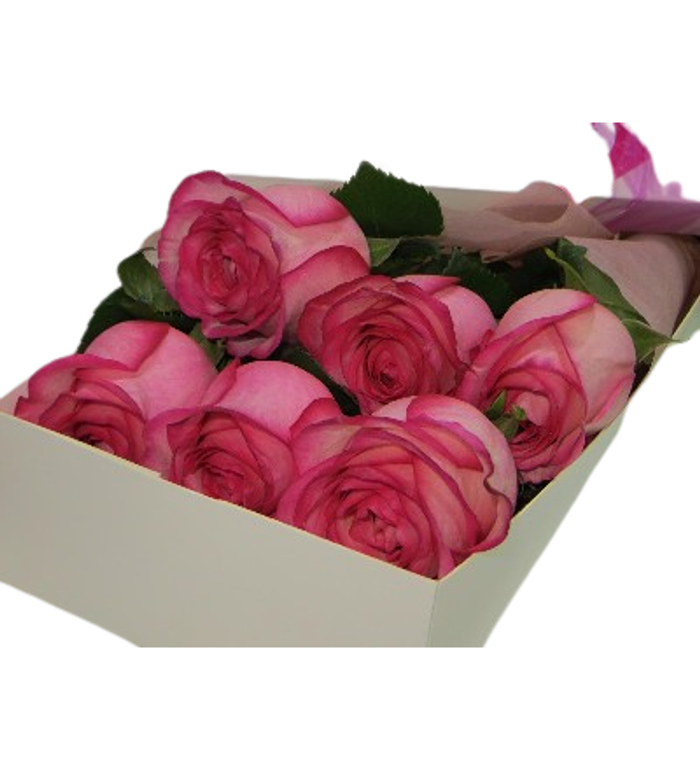 Caja de 6 Rosas Rosadas | Regala Delicadeza 