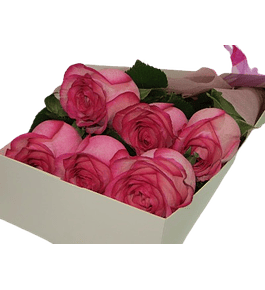 Caja de 6 Rosas Rosadas | Regala Delicadeza 