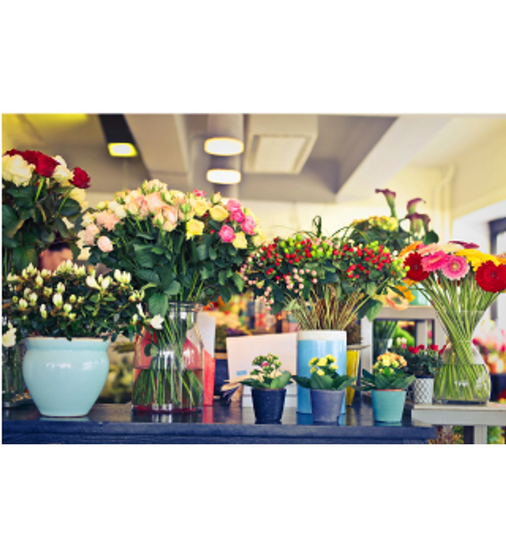 Suscripción Flores Mensual a Casa u Oficina