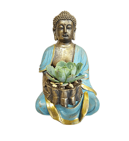Buda Azul con Suculenta