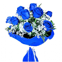 Ramo de 12 rosas azules