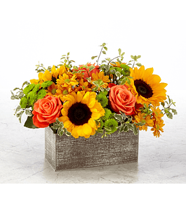 Girasoles y rosas en base rectangular