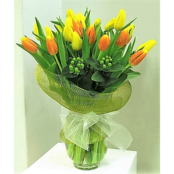 Florero de 30 tulipanes