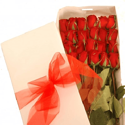 Caja de 24 rosas ecuatorianas | Entrega Amor, Aprecio y Gratitud 