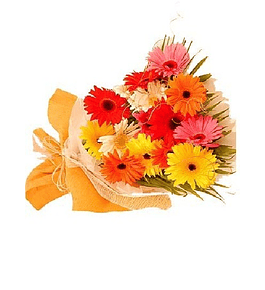 Bouquet de 15 gerberas