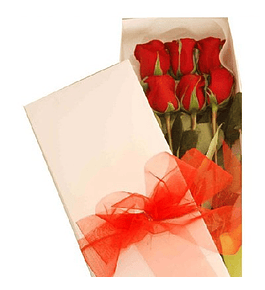 Caja de 6 Rosas Variedad de Colores
