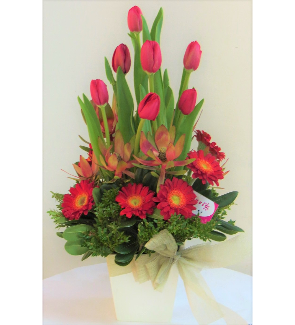 Armonía de tulipanes y gerberas | Envio Flores