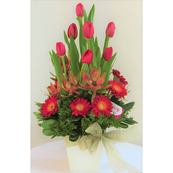 Armonía de tulipanes y gerberas