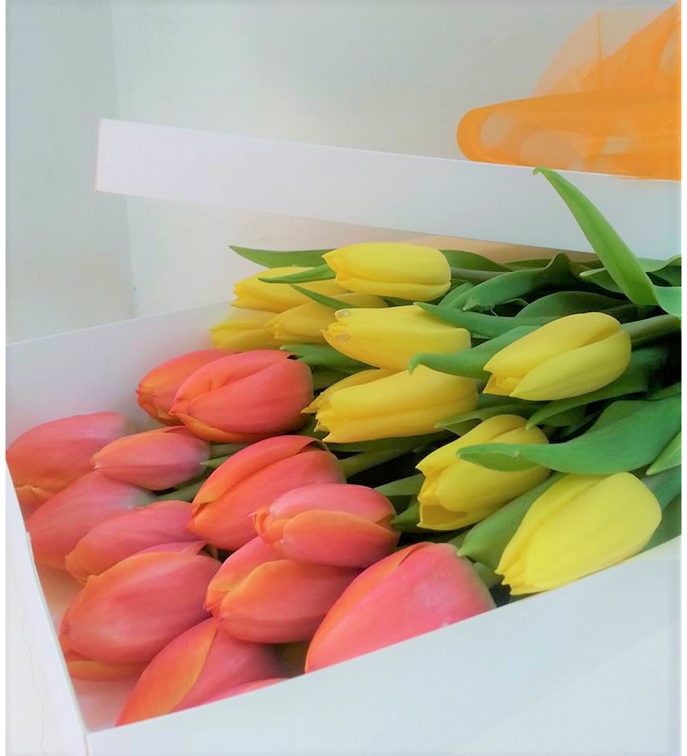 Caja de 20 tulipanes | Envía Reconocimiento
