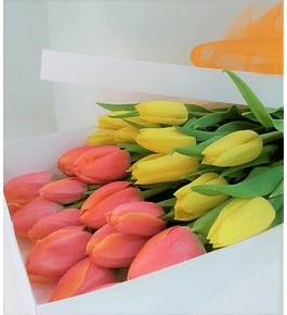 Caja de 20 tulipanes | Envía Reconocimiento