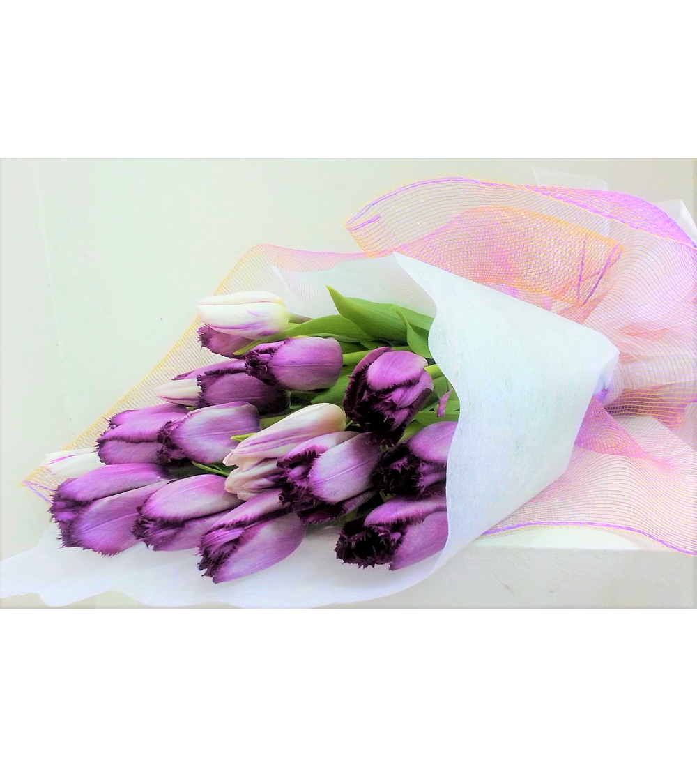 Ramo de 20 tulipanes | Envio Flores