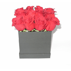 Cubo de 12 rosas | Sorprende con Amor Duradero