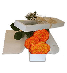 Caja 3 rosas ecuatorianas | Regala Trio de Cariño