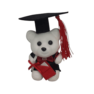 Peluche Pequeño Graduación 