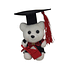Peluche Pequeño Graduación 