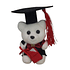Peluche Pequeño Graduación 