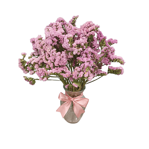 Florero de Estatice Variedad Colores | Regala Color