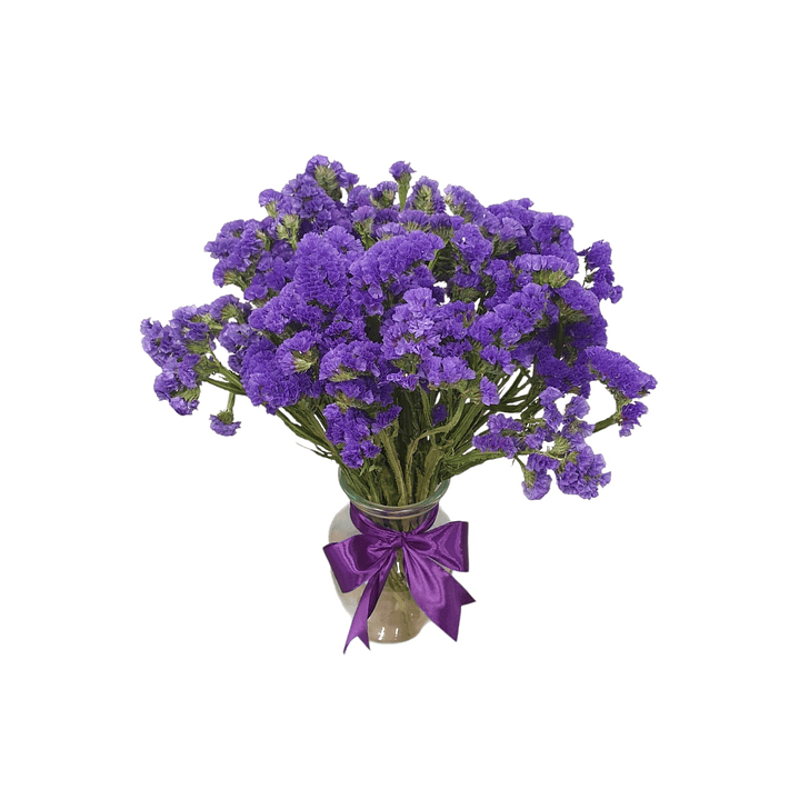 Florero de Estatice Variedad Colores | Regala Color 2