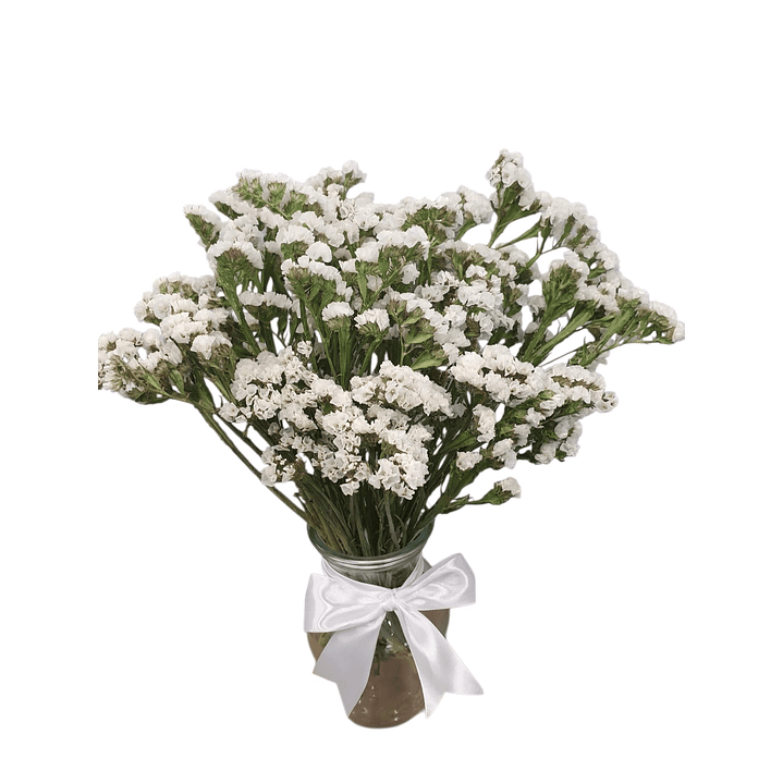 Florero de Estatice Variedad Colores | Regala Color 3