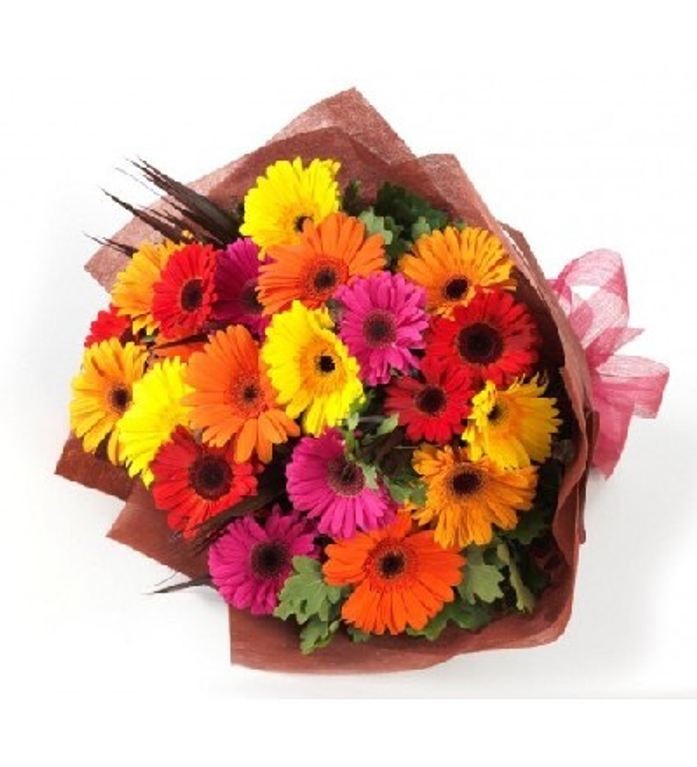 Ramo de 30 Gerberas