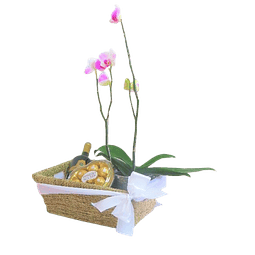 Canasta Orquídea | Regalo memorable y único 
