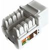 Módulo Rj45 Cat6 / Modulo De Red 