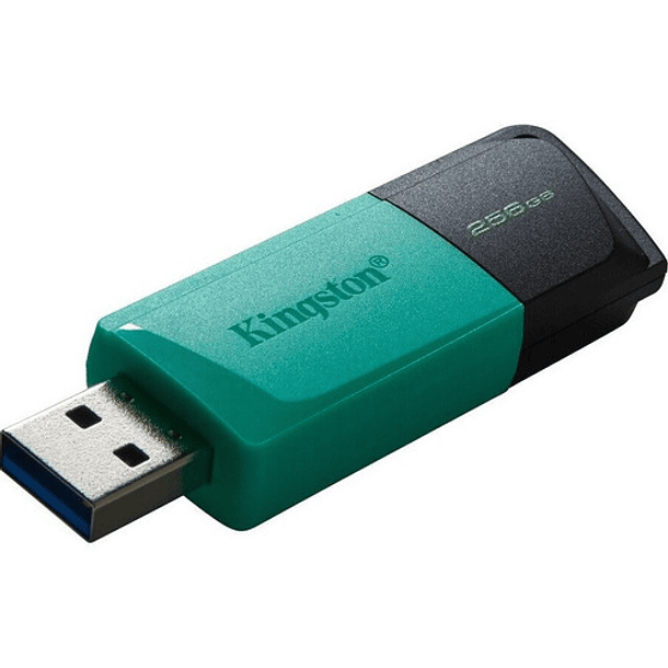 Pendrive Kingston USB 3.2 256gb DataTraveler Exodia M | Envío Stock