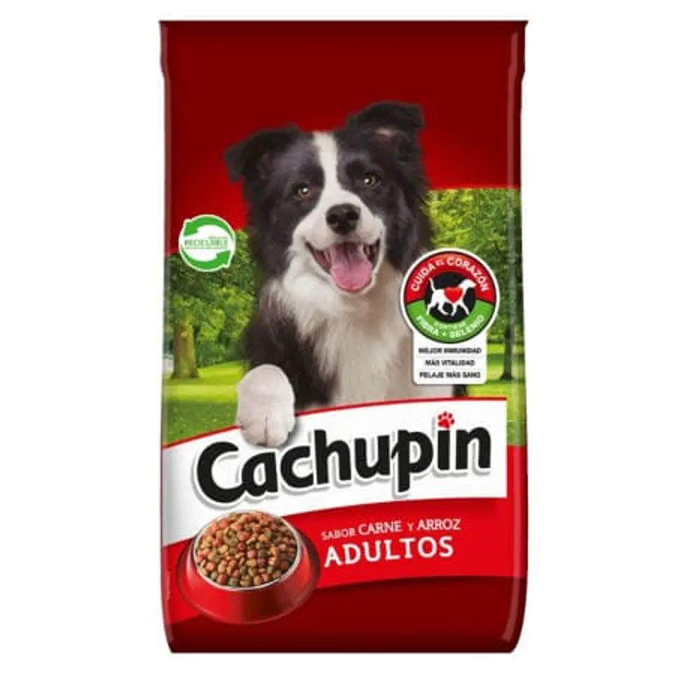 Alimento Seco Perro Adulto Carne y Arroz Bolsa 15 kg Cachupin 1