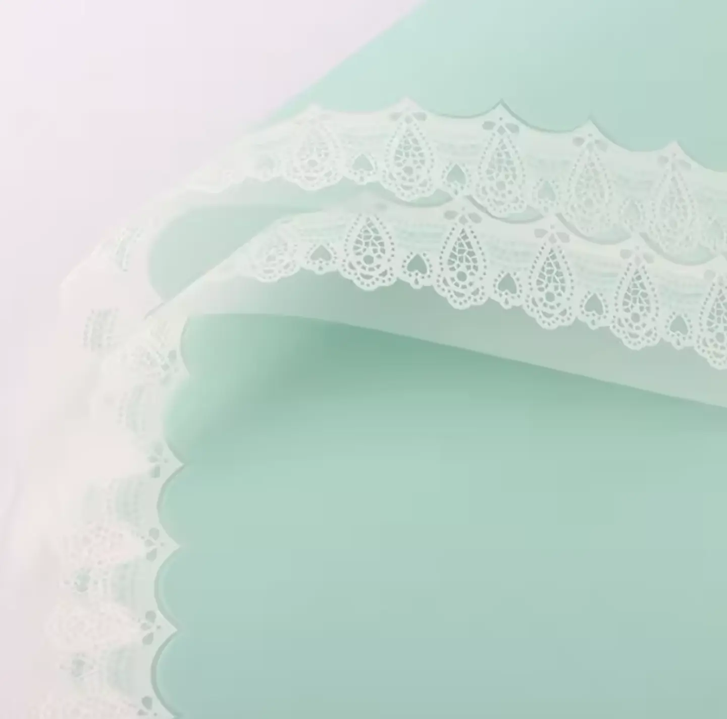 Orilla Encaje 3