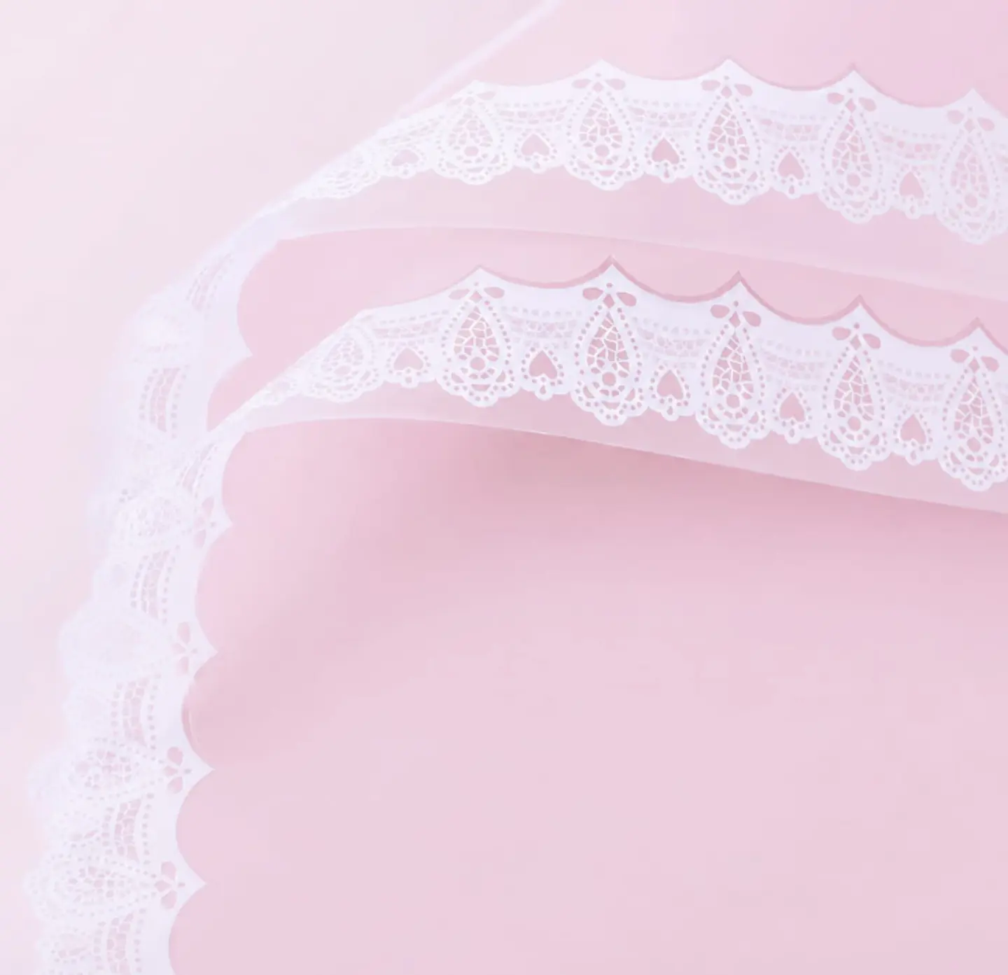 Orilla Encaje 6