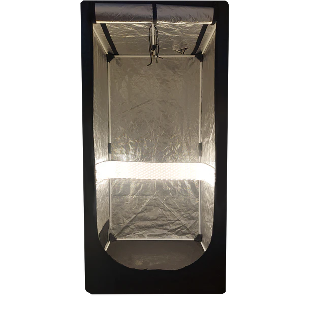 Glow Sheet
