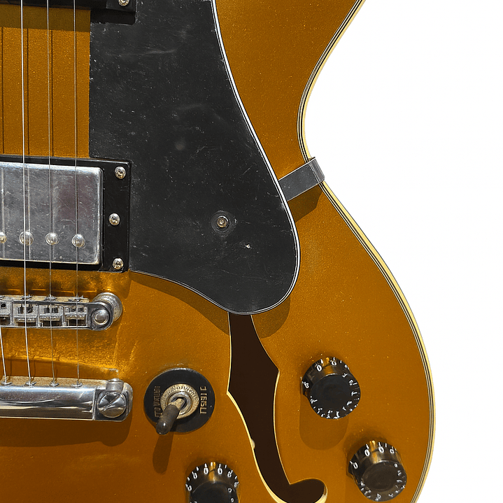 Guitarra Eléctrica Firefly Semi Hollow FF338 Gold 4
