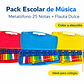 Pack Escolar de Música Metalófono 25 Notas + Flauta Dulce - Miniatura 1