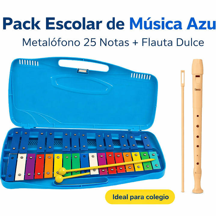 Pack Escolar de Música Metalófono 25 Notas + Flauta Dulce 2