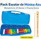 Pack Escolar de Música Metalófono 25 Notas + Flauta Dulce - Miniatura 2