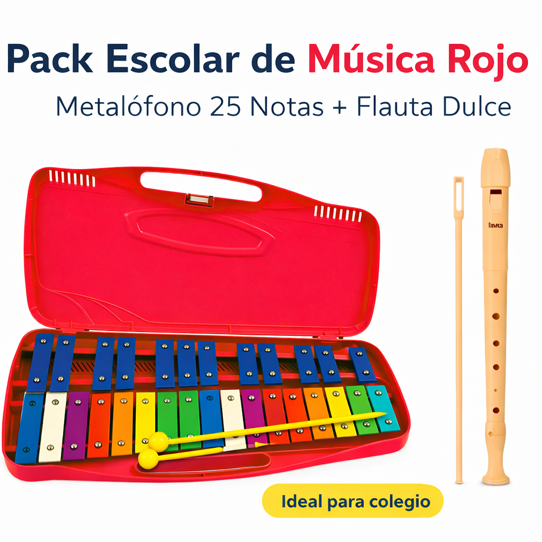 Pack Escolar de Música Metalófono 25 Notas + Flauta Dulce 3