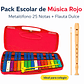 Pack Escolar de Música Metalófono 25 Notas + Flauta Dulce - Miniatura 3