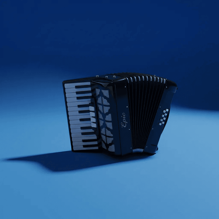 Acordeon 22 teclas 8 bajos Negro Para Adulto 4