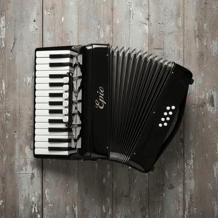 Acordeon 22 teclas 8 bajos Negro Para Adulto 7