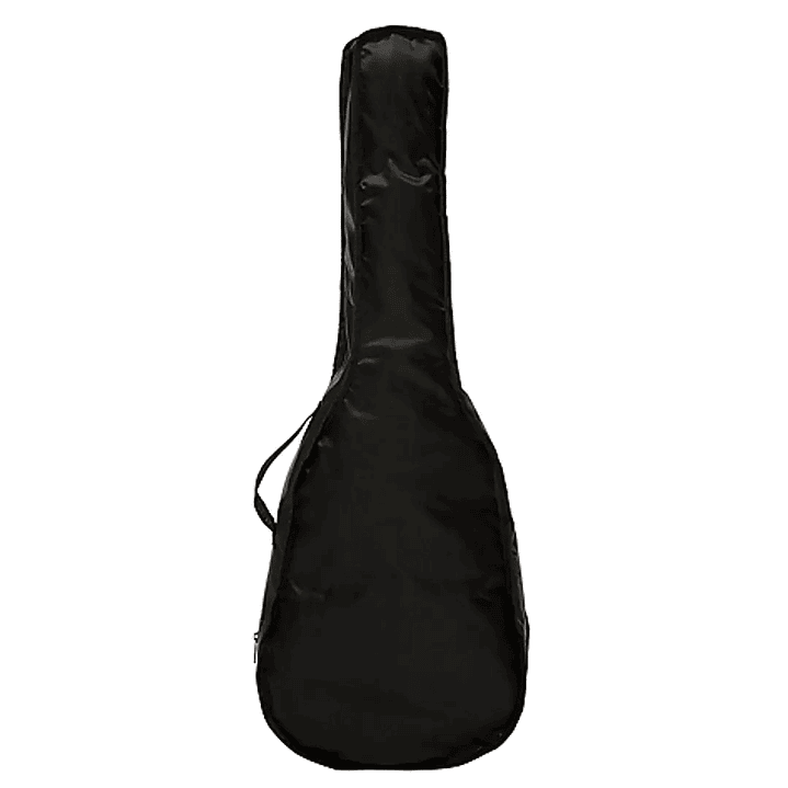 Guitarra Clásica 38