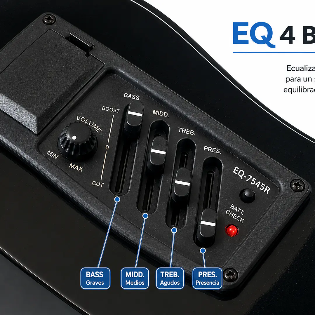 Pack Guitarra Electroacústica Principiante Negra 6